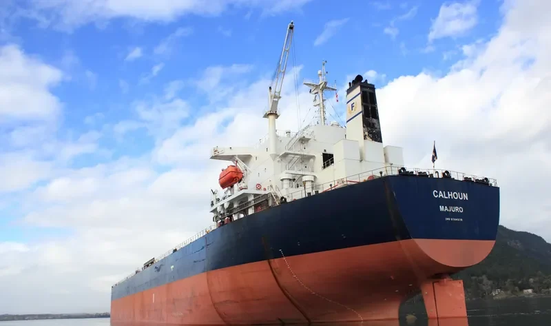 SFERA Bulk Carrier IMO 9304576
