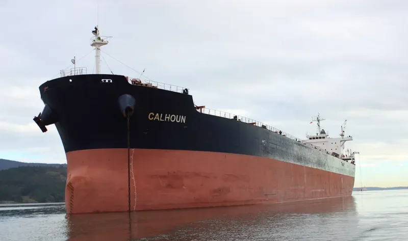 SFERA Bulk Carrier IMO 9304576 photo 2