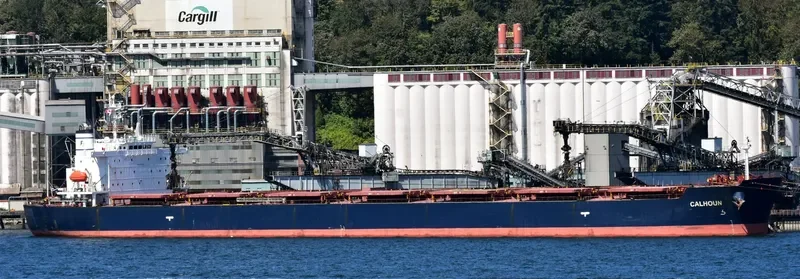 SFERA Bulk Carrier IMO 9304576 photo 3