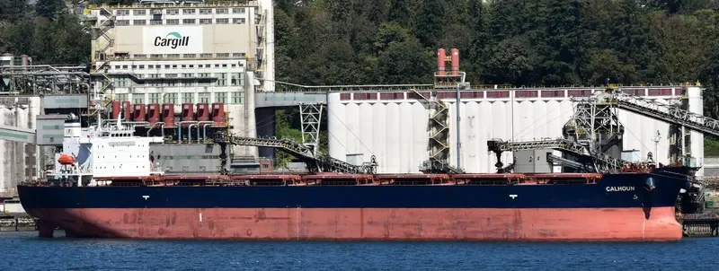 SFERA Bulk Carrier IMO 9304576 photo 4