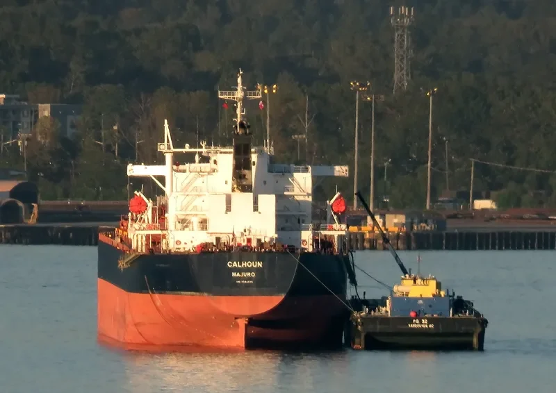 SFERA Bulk Carrier IMO 9304576 photo 5