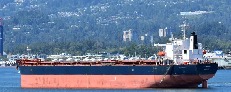 SFERA Bulk Carrier IMO 9304576 photo 6