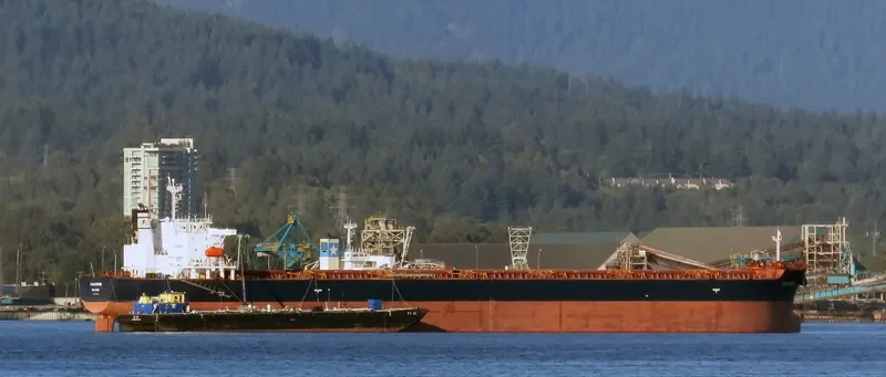 SFERA Bulk Carrier IMO 9304576 photo 7