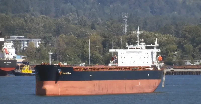 SFERA Bulk Carrier IMO 9304576 photo 8