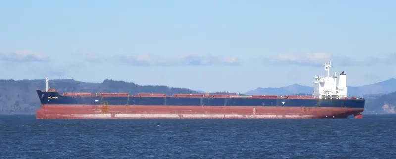 SFERA Bulk Carrier IMO 9304576 photo 10