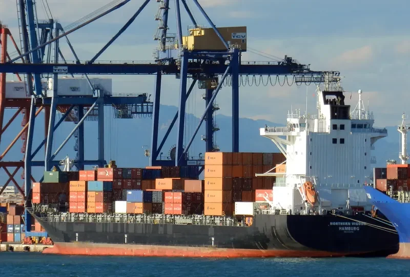 NORTHERN VIGOUR Container Ship IMO 9304708