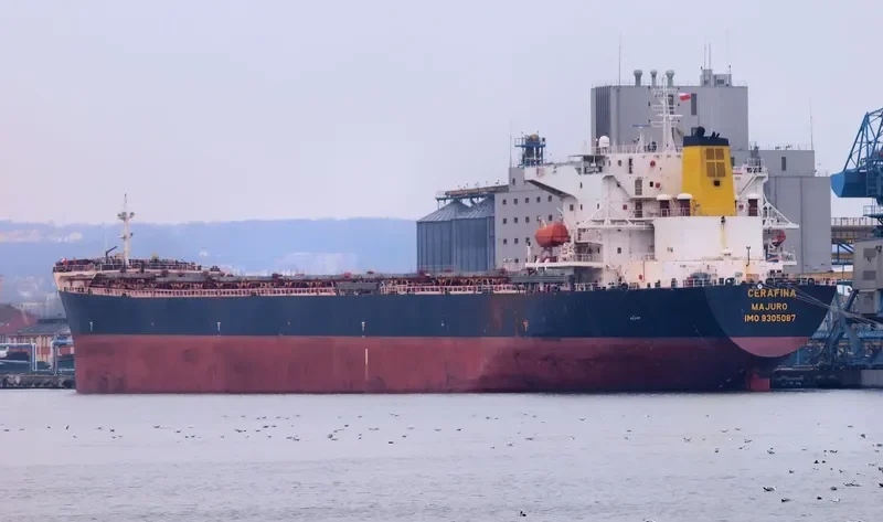 CERAFINA Bulk Carrier IMO 9305087 photo 5