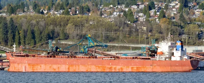 NAVIOS SYMMETRY Bulk Carrier IMO 9305099 photo 6