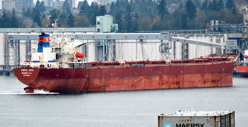 NAVIOS SYMMETRY Bulk Carrier IMO 9305099 photo 9