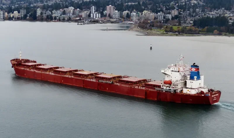 NAVIOS ALTAIR I Bulk Carrier IMO 9305104 photo 2