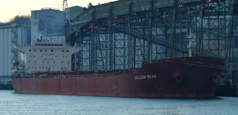NAVIOS ALTAIR I Bulk Carrier IMO 9305104 photo 4