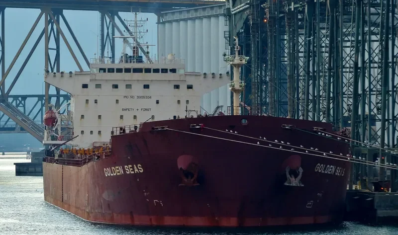 NAVIOS ALTAIR I Bulk Carrier IMO 9305104 photo 5