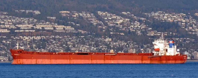 NAVIOS ALTAIR I Bulk Carrier IMO 9305104 photo 6