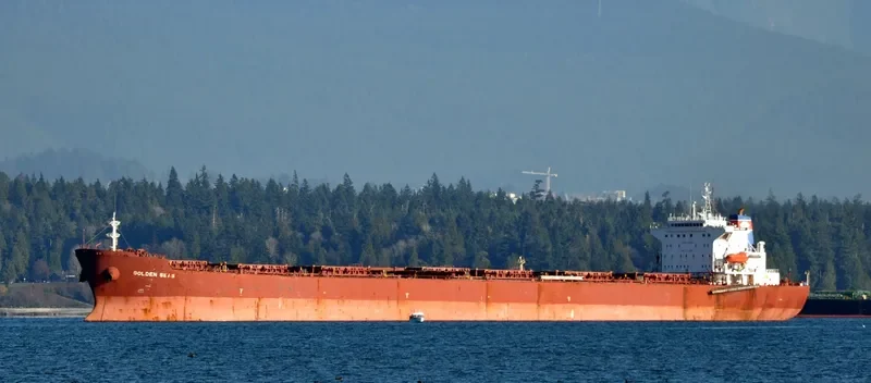 NAVIOS ALTAIR I Bulk Carrier IMO 9305104 photo 7