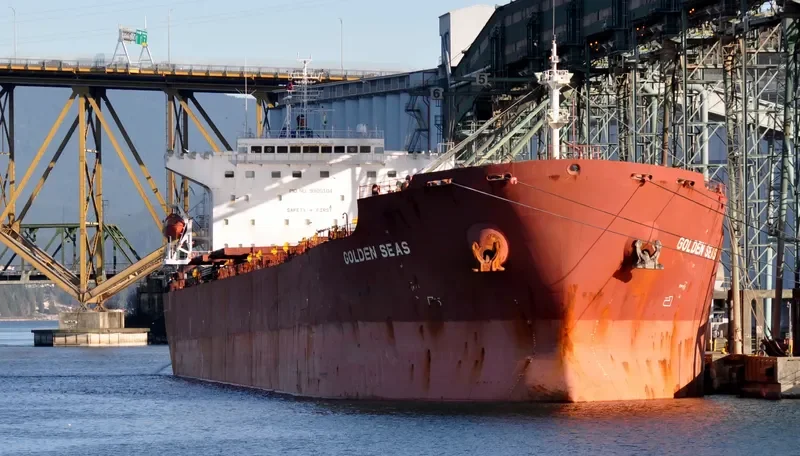 NAVIOS ALTAIR I Bulk Carrier IMO 9305104 photo 9