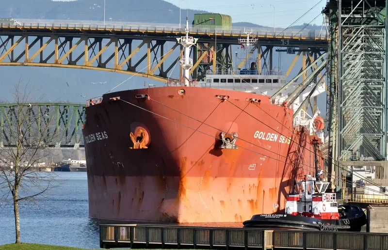 NAVIOS ALTAIR I Bulk Carrier IMO 9305104 photo 10