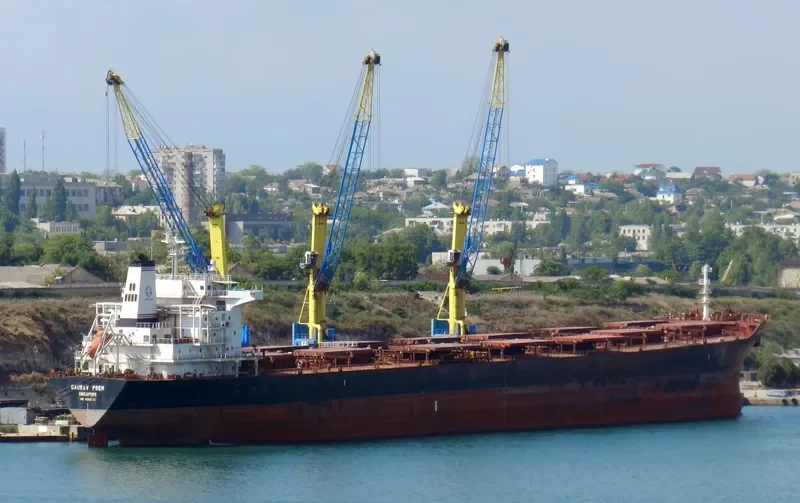 WEI YE FU YUN Bulk Carrier IMO 9305142