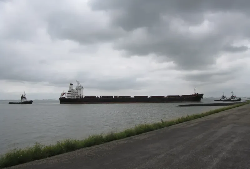 WEI YE FU YUN Bulk Carrier IMO 9305142 photo 4