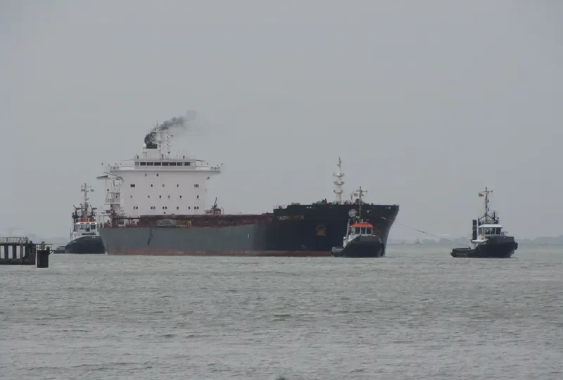 WEI YE FU YUN Bulk Carrier IMO 9305142 photo 5