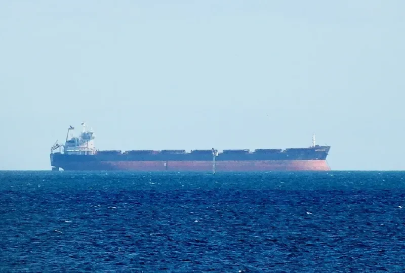 WEI YE FU YUN Bulk Carrier IMO 9305142 photo 6