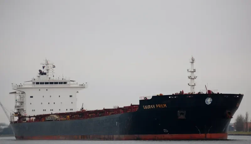 WEI YE FU YUN Bulk Carrier IMO 9305142 photo 8