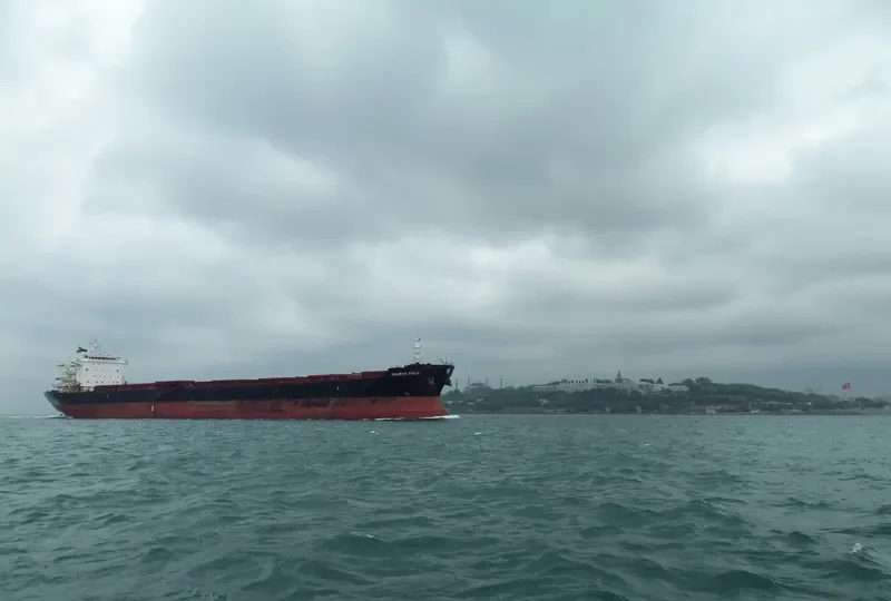WEI YE FU YUN Bulk Carrier IMO 9305142 photo 9