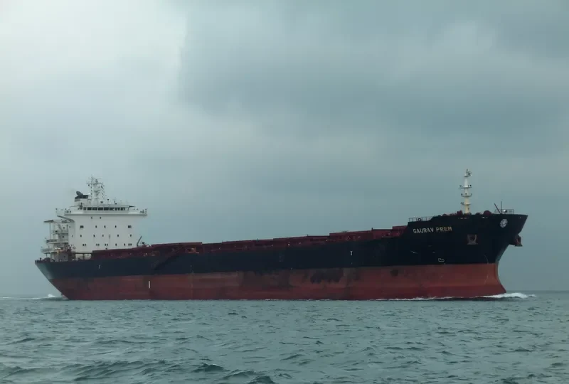 WEI YE FU YUN Bulk Carrier IMO 9305142 photo 10