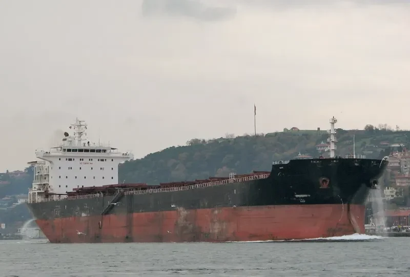 AMINA Bulk Carrier IMO 9305192
