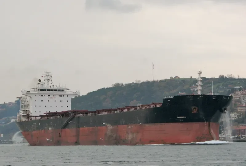 AMINA Bulk Carrier IMO 9305192 photo 2