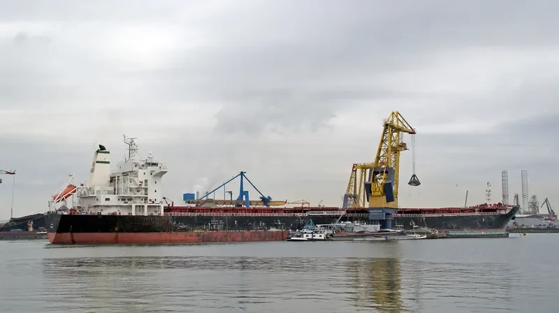 AMINA Bulk Carrier IMO 9305192 photo 3