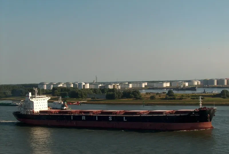 AMINA Bulk Carrier IMO 9305192 photo 4