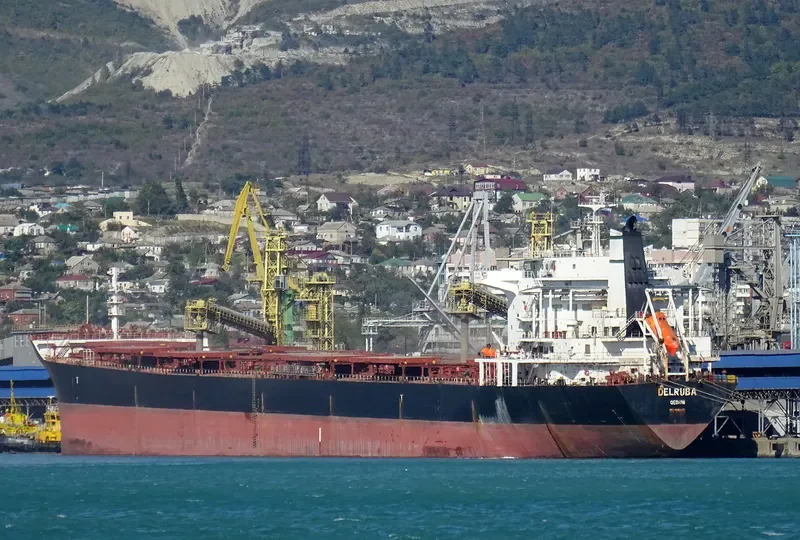 DELRUBA Bulk Carrier IMO 9305207
