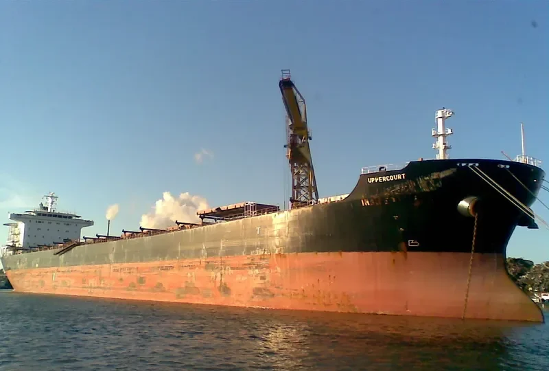 DELRUBA Bulk Carrier IMO 9305207 photo 2