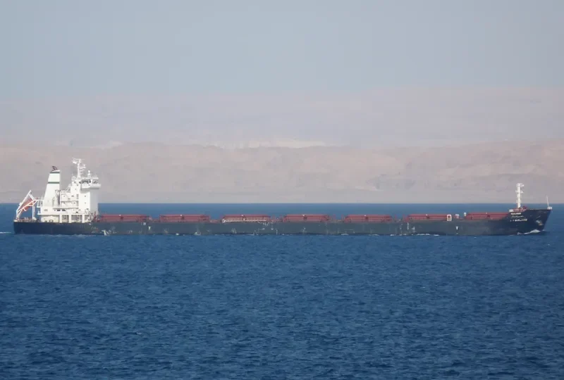 GANJ Bulk Carrier IMO 9305219 photo 3