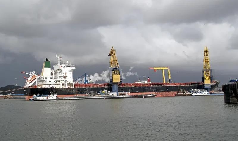 ARTIN Bulk Carrier IMO 9305221