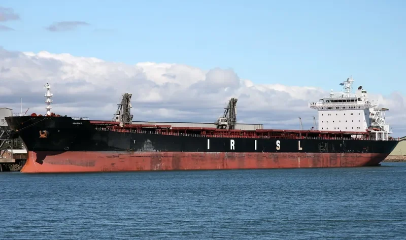 ARTIN Bulk Carrier IMO 9305221 photo 2