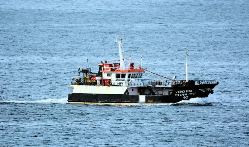 SEAWIN RUBY General Cargo IMO 9305439