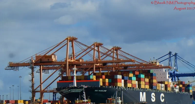 MSC MADELEINE Container Ship IMO 9305702 photo 2