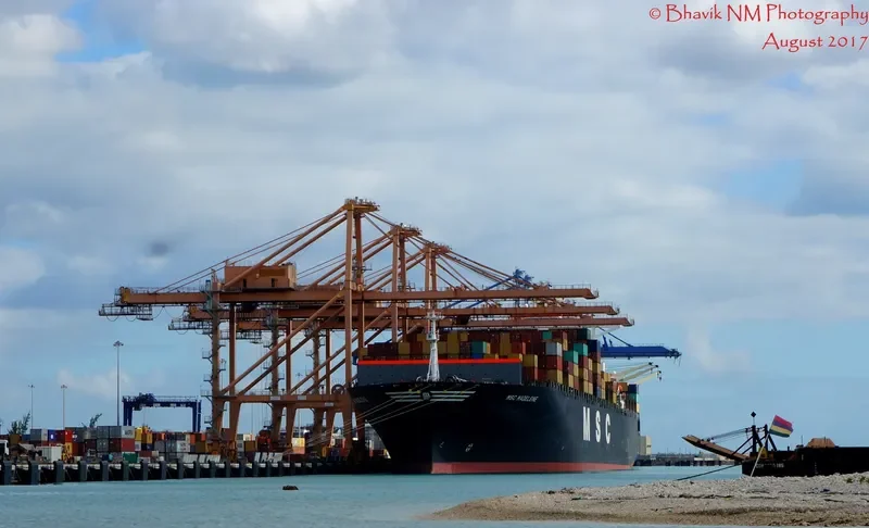 MSC MADELEINE Container Ship IMO 9305702 photo 3