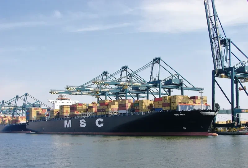 MSC INES Container Ship IMO 9305714