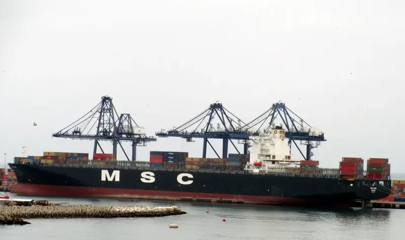 MSC INES Container Ship IMO 9305714 photo 2