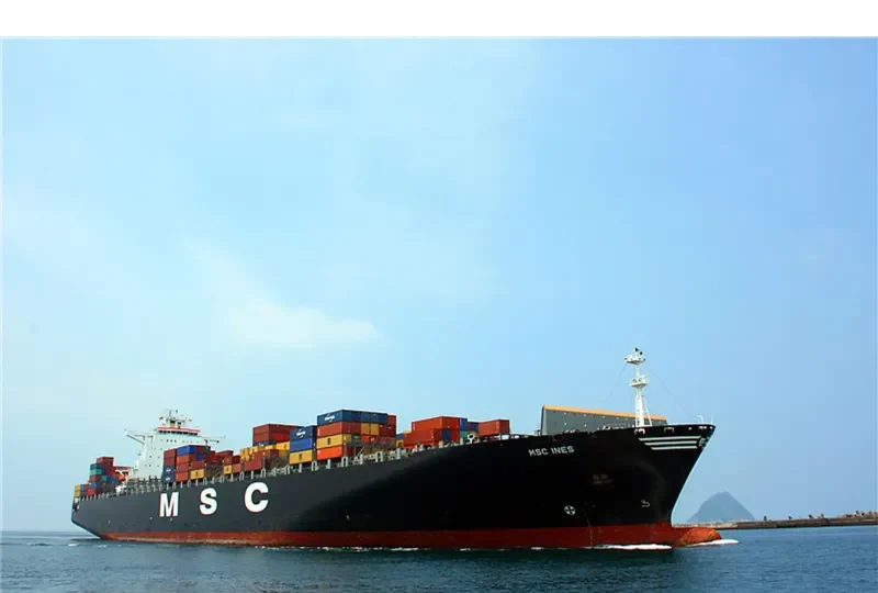 MSC INES Container Ship IMO 9305714 photo 3