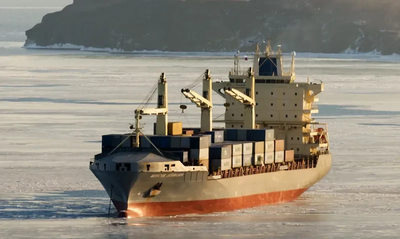 MERATUS JAYAWIJAYA Container Ship IMO 9305881