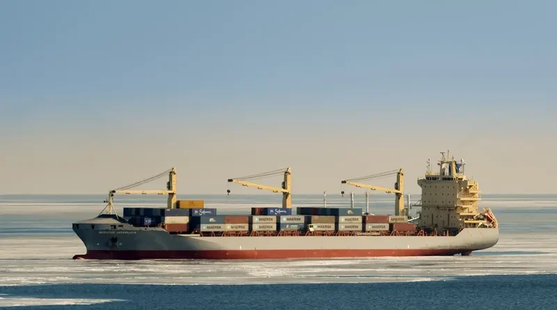 MERATUS JAYAWIJAYA Container Ship IMO 9305881 photo 4