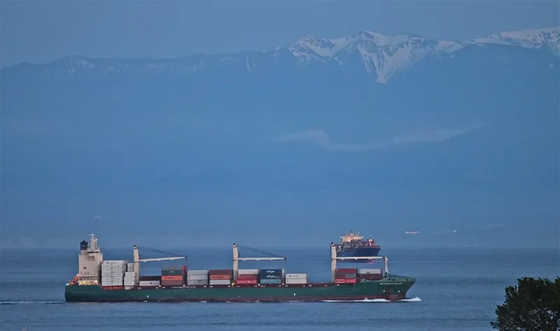 MERATUS JAYAWIJAYA Container Ship IMO 9305881 photo 9