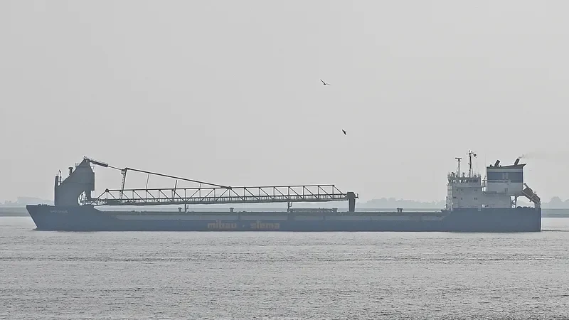 SANDNES Bulk Carrier IMO 9306029 photo 3