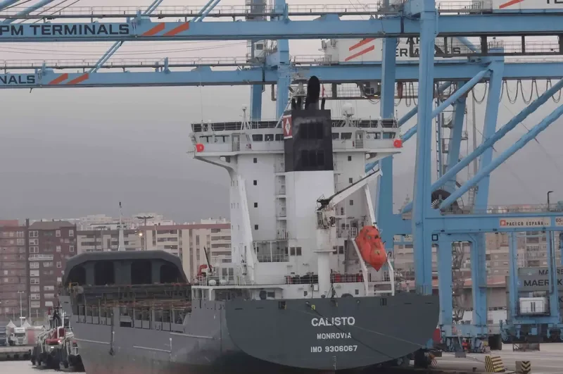 CALISTO Container Ship IMO 9306067 photo 9