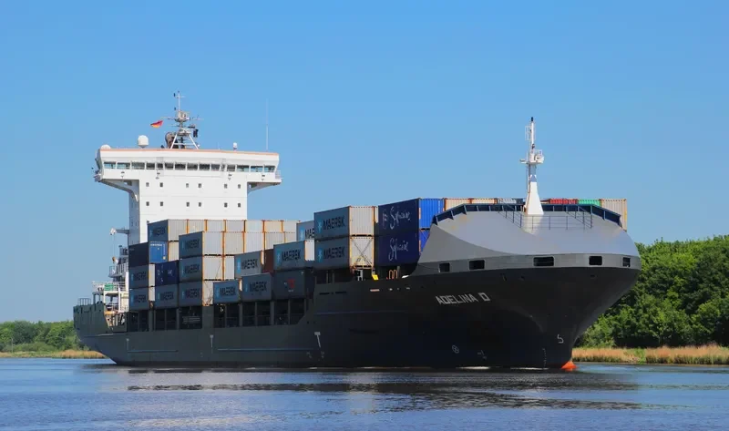 ADELINA D Container Ship IMO 9306079
