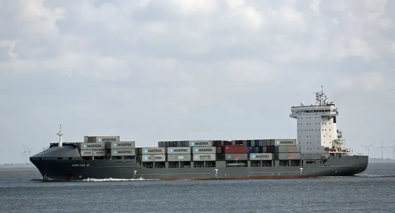 ADELINA D Container Ship IMO 9306079 photo 2