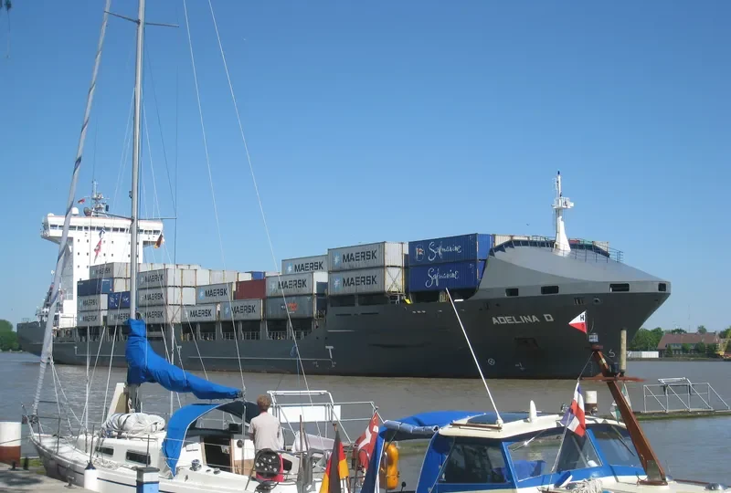 ADELINA D Container Ship IMO 9306079 photo 5